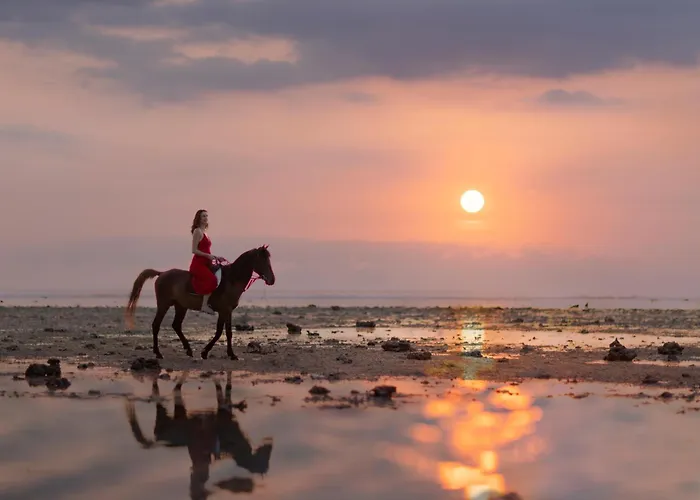 Kardia Resort Gili Trawangan A Pramana Experience